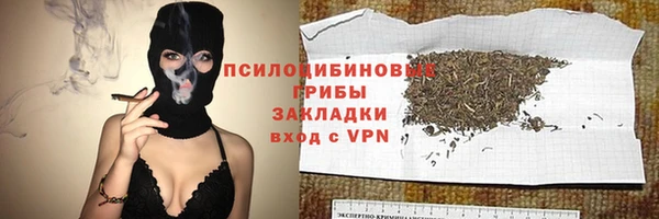 apvp Богданович