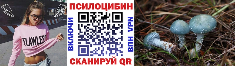 Псилоцибиновые грибы мицелий  Верея 